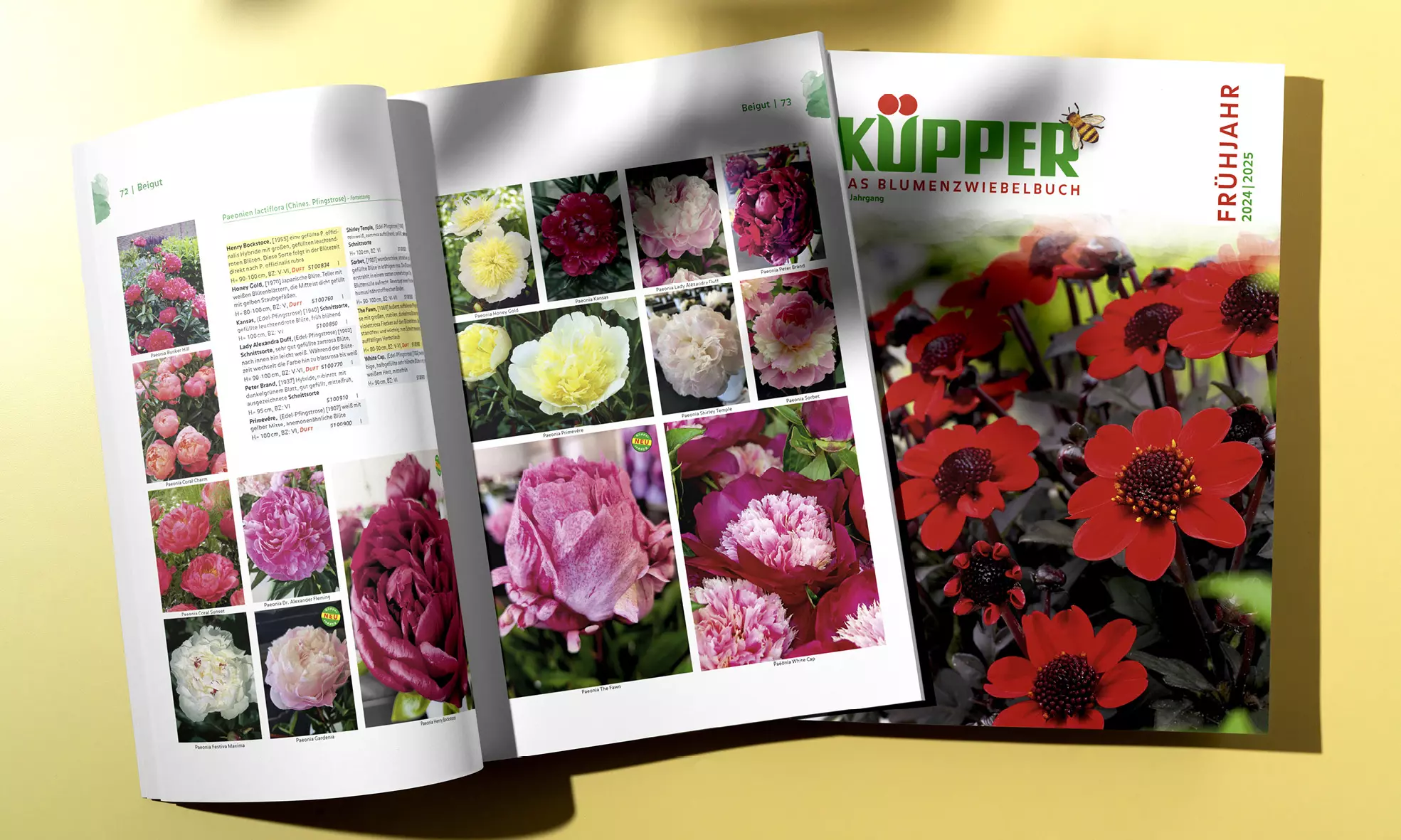 Küpper Katalog